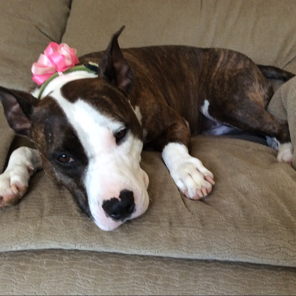 ❤️Fabulus Miss Violet❤️